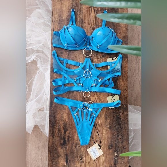 Honey Birdette 💋SET💋 Mistress T blue bra 34C/34D/S NWT - Picture 6 of 13